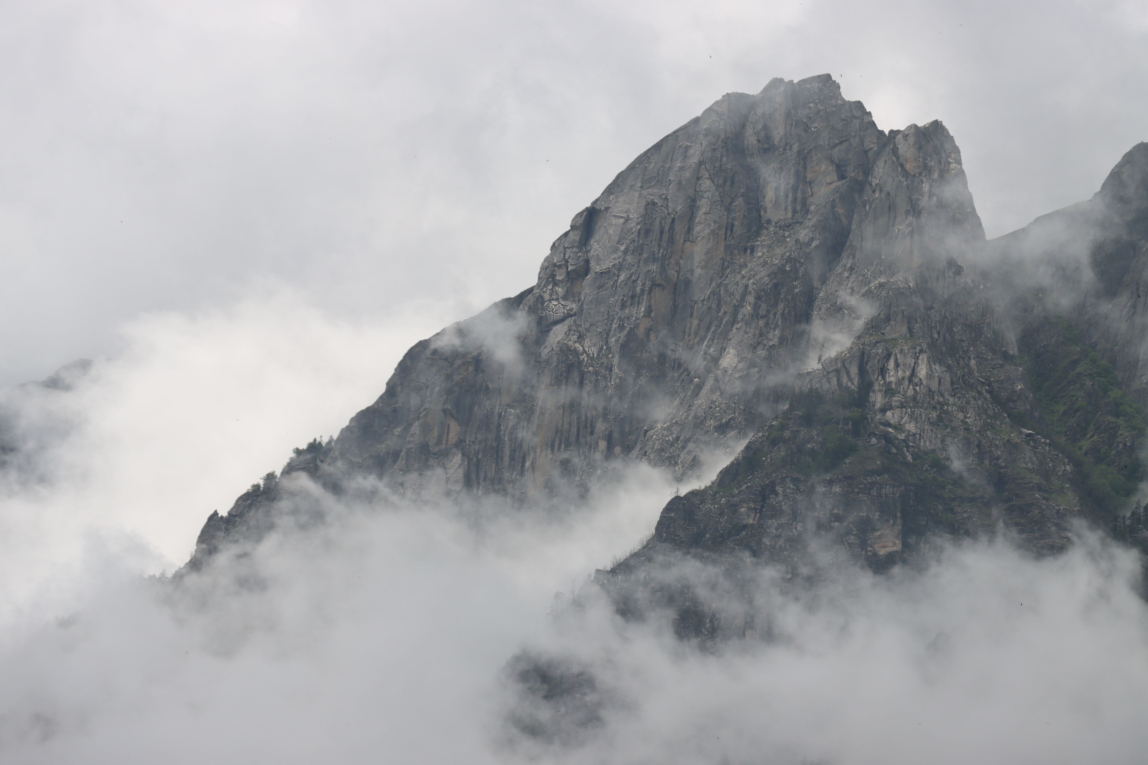 Startup MVP Solutions